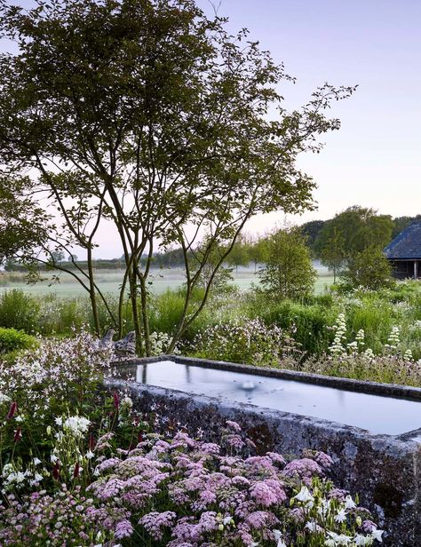 Yelford Manor by Katie Guillebaud Garden Water Feature, Water Walls, Aquatic Plants, Water Feature, Small Gardens, Garden Spaces, Water Garden, Small Garden, Landscape Architecture