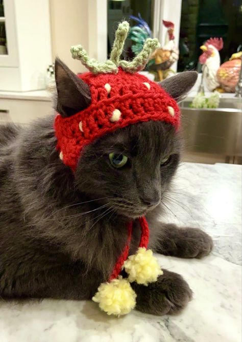 Crochet Patterns Bag, Dog Hat Crochet, Crocheting Blanket, Cat Hat Pattern, Strawberry Cat, Baby Crochet Patterns Free, Crochet Hats Free Pattern, Cat Hat, Hat Crochet