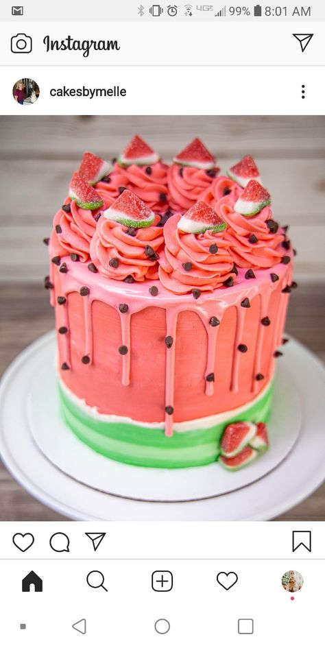 Summer Cake Designs, Summer Party Cake, Summer Birthday Cake, Harry Birthday, Watermelon Cake, Creative Cake Decorating, Themed Desserts, Cake Inspo, Summer Cakes