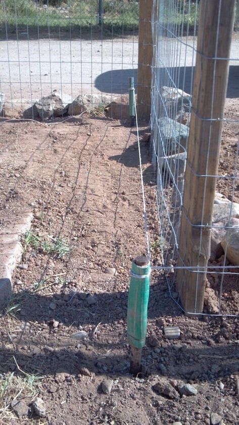 Diy Electric Fence, Wire Dog Fence, Goat Fence, Wire Dog, Homeless Dogs, Wire Fence, Electric Fence, Goat Farming, Chicken Diy