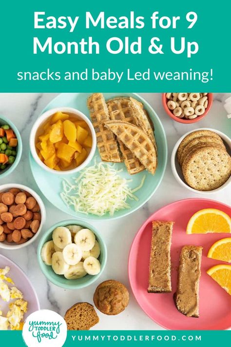 Easy Meals and Snack Ideas for 9 Month Old and Up. This cheat sheet of nutritious food ideas makes feeding your 9-12-month-old babies easy and gives them the essential nutrition for growing that they require. Find all sorts of solid baby food ideas here from breakfast ideas to baby lunch recipes, healthy dinners, and everything in between. Baby Led Weaning and more including fresh fruit and veggies. Daycare Lunch Ideas For 9 Month Old, Easy Meals For Infants, Finger Foods For 11 Month Old Baby, Food Ideas For 8 Month Old, Baby Food Recipes 9 Months, What To Feed My 10 Month Old, Snacks For 10 Month Old, 9 Month Meal Ideas, Finger Foods For 9 Month Old Baby