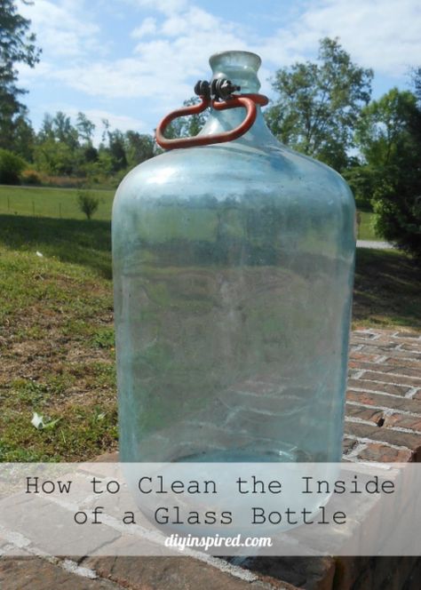 How to Clean the Inside of a Glass Bottle Glass Jugs Decor Ideas, Glass Jugs Crafts, Jugs Decor, Glass Jugs Decor, Reuse Water Bottles, Recycled Artwork, Jug Decor, Large Glass Bottle, Glass Water Jug