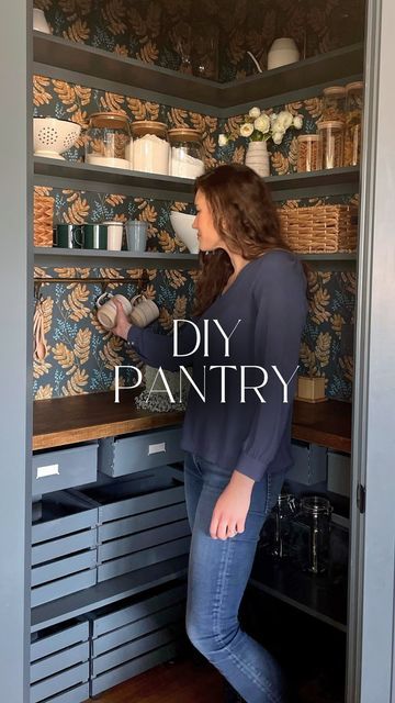 Kitchen With A Corner Pantry, Corner Pantry Diy Build, Build Corner Pantry, Diy Pantry Corner, Pantry Makeover Corner, Hall Pantry Ideas, Diy Pantry Build Out, Small Prep Kitchen Pantry, Open Corner Pantry