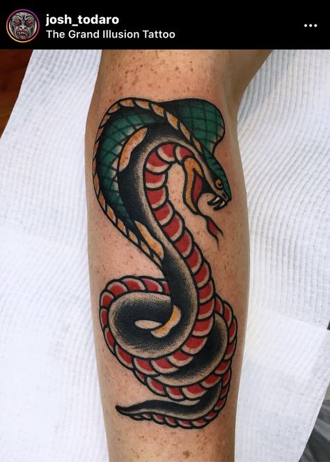 Rattle Snake Traditional Tattoo, Color Snake Tattoo, Black And Red Snake Tattoo, Traditional Cobra Tattoo, Snake Tattoo Traditional, American Traditional Snake, Snake Head Tattoo, Red Snake Tattoo, Traditional Shark Tattoo