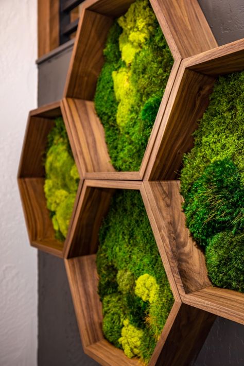 Our lovely pre-built preserved moss hexagons are a lovely and easy way to bring some greenery to a space. The hexagon shape allows for a variety of layouts and interesting designs. 

Take a look at our other pre-built moss wall panels at www.growup.green/moss-walls 

#growupgreenwalls #greenery #livingwalls #greenwall #plantwall #plants #plantbenefits #verticalgardens #biophilia #biophilicdesign #plantguide #blog #design #spring #springtime #homeoffice #bringnatureindoors Moss Wall Decoration, Moss Wall Ideas, Stylish Soundproofing, Hexagon Wall Design, Moss Wall Indoor, Moss Wall Design, Green Wall Ideas, Living Moss Wall, Moss Panel