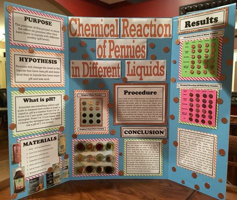 Chemical reaction of pennies science project Penny Science Fair Project, Science Project Poster, Flowchart Ideas, Plant Science Fair Projects, Science Fair Topics, Winning Science Fair Projects, Science Fair Poster, Science Project Board, 8th Grade Science Projects