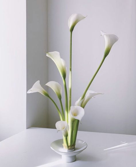 Ikebana Flowers, Calla Lily Centerpieces, Whistler Wedding, Calla Lily Wedding, Orchid Centerpieces, Flower Arrangement Designs, Ikebana Arrangements, Ikebana Flower Arrangement, Flower Installation