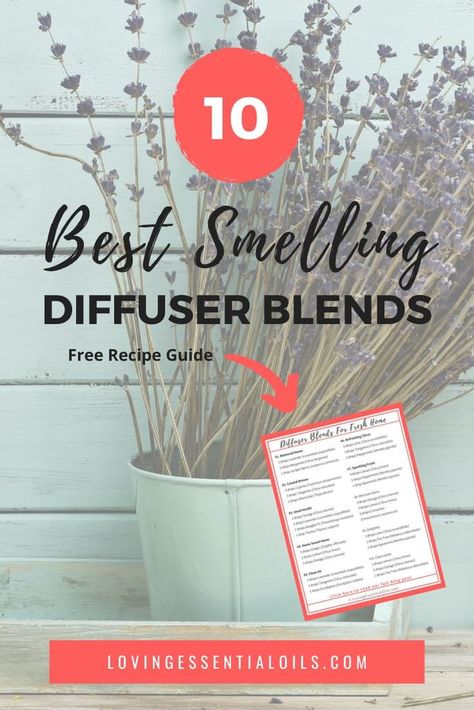 10 Essential Oil Blends For A Great Smelling Home Oil Diffuser Blends House Smells, Best Essential Oil Blends To Diffuse, Fresh And Clean Diffuser Blends, Clean Smelling Diffuser Blends, Clean House Diffuser Blend, Best Smelling Essential Oils, Best Diffuser, Homemade Essential Oil, Diffuser Oil