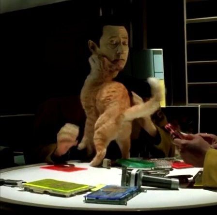 Star Trek Cats, Data And Spot, Data And Geordi, Data Star Trek, Uss Enterprise D, Brent Spiner, Star Trek Data, Stark Trek, Fandom Star Trek