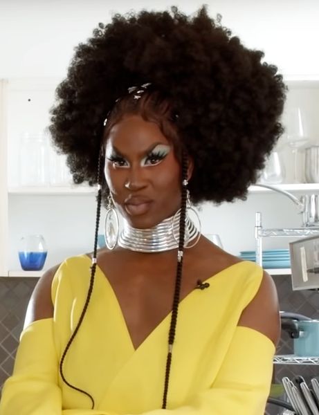 Shea Coulee Looks, Drag Queen Christmas, Shea Coulee, Bebe Zahara Benet, Farrah Moan, Non Binary Gender, Gender Spectrum, Best Drag Queens, Trans Pride Flag