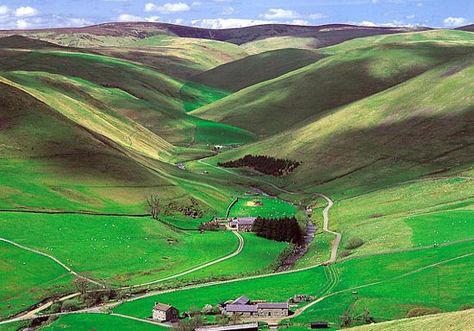 Northumberland National Park, UK http://www.visitnorthumberland.com/northumberland-national-park Northumberland National Park, Cheviot Hills, Landscape Mural, Northumberland Coast, Hadrians Wall, North East England, Hiking Routes, England And Scotland, Rolling Hills