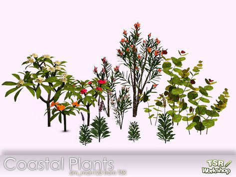 Sims 4 Cc Plants Gardens, Sims 4 Outdoor Plants, Beach Plants, Cherry Blossom Vase, Sims4 House, Coastal Plants, Pool Plants, Ts4 Mods, Furniture Cc