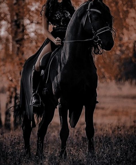 Dark Royal Aesthetic, Dark Royalty Aesthetic, Riley Matthews, Dark Princess, Medieval Aesthetic, Queen Aesthetic, Royalty Aesthetic, Royal Aesthetic, Horse Aesthetic