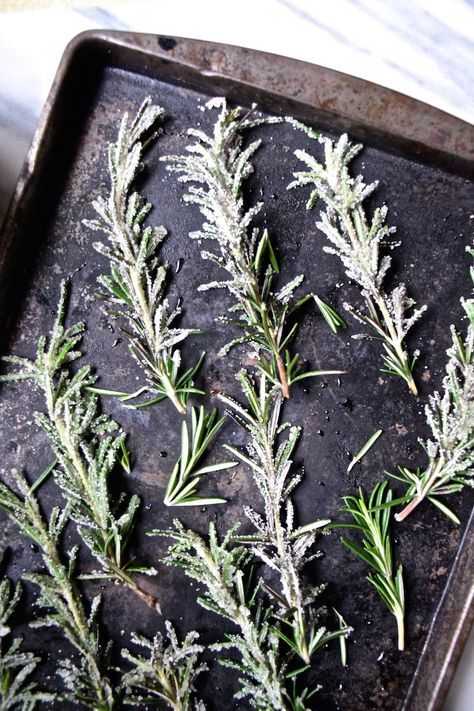 Sugared rosemary for a garnish Rosemary Christmas Cocktail, Christmas Cocktail Garnish Ideas, Rosemary Appetizer, Winter Martini, Sugared Rosemary, Rosemary Garnish, Drink Garnish, Rosemary Cocktail, Cocktail Garnishes