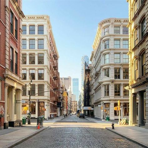 Hybrid Animals, Adolf Loos, Nyc History, Monday February, Perspective Photography, Nyc Aesthetic, Architecture Building Design, New York Photos, City Vibe