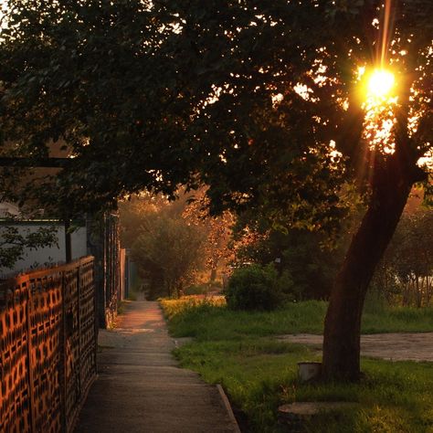 Orange Aesthetic, Night Aesthetic, City Aesthetic, Nature Aesthetic, Pretty Places, Summer Aesthetic, Fresh Air, Pretty Pictures, Mother Nature