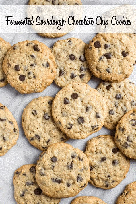 Sourdough Chocolate Chip Cookies, Sourdough Cookies, Sourdough Starter Recipe, Sourdough Baking, Italian Bread, Starters Recipes, Sourdough Recipes, Fermented Foods, Sourdough Starter