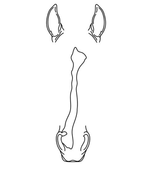 Horse Ear Tattoo Outline, Horse Face Marking Outline Tattoo, Horse Head Silhouette Tattoo, Horse Profile Tattoo, Horse Sketch Tattoo, Simple Horse Shoe Drawing, Horse Blaze Outline Tattoo, Outline Of Horse Tattoo, Horse Face Line Tattoo