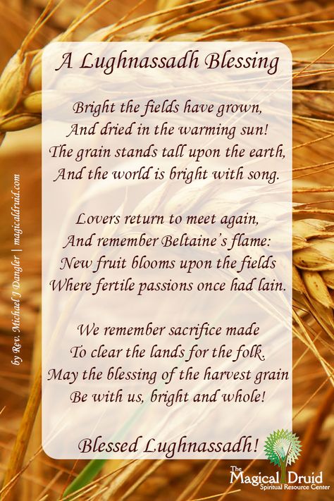 May the blessings of Lughassadh be with you, and may you be brightened by the gifts the gods give to us! Lammas Blessings, Lughnasadh Blessings, Witches And Cats, Wicca Holidays, Pagan Sabbats, Witches Wheel, Lammas Lughnasadh, Wiccan Sabbats, Pagan Magick