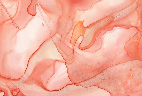 soft watercolor — Black Crow Studios Peach Passal Peach Desktop Wallpaper Aesthetic, Peach Laptop Wallpaper, Peach Wallpaper Laptop, Peach Wallpaper Desktop, Peach Aesthetic Header, Peach Desktop Wallpaper, Peach Colored Wallpaper, Peach Widgets, Peachy Wallpaper