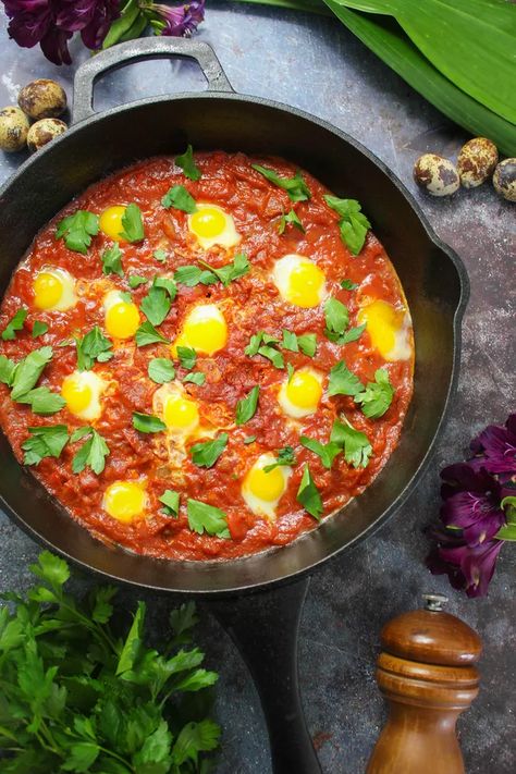 Shakshuka with Quail Eggs | Quail Eggs Recipe | Quail Eggs Benefits Quail Eggs Benefits, Easy Shakshuka Recipe, Quail Recipes, Egg Benefits, Shakshuka Recipes, Brunch Dishes, Quail Eggs, Baked Eggs, African Food