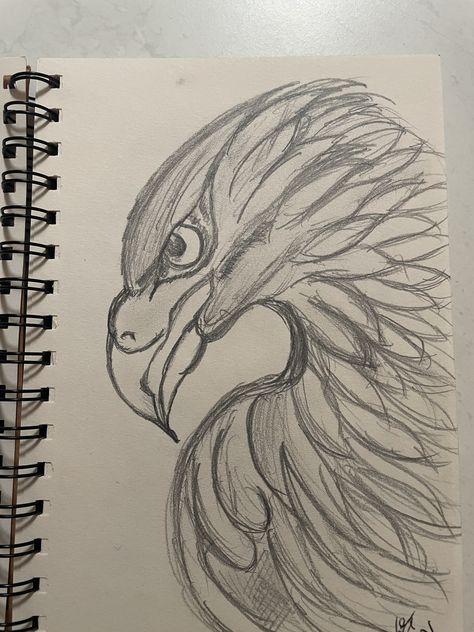 Cool Sketches Pencil, Desenho Aesthetic, Eagle Sketch, Eagle Drawing, Scary Drawings, Nature Art Drawings, Animal Drawings Sketches, Meaningful Drawings, Easy Drawings Sketches