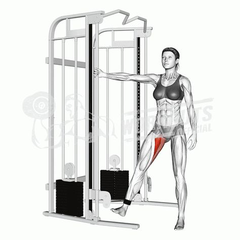 Hip Adduction Machine, Hip Adduction, Beginners Gym Workout Plan, Chest Workout Routine, Free Workout Plans, Hip Exercises, Best Leg Workout, Workout Plan For Beginners, Workout Exercises