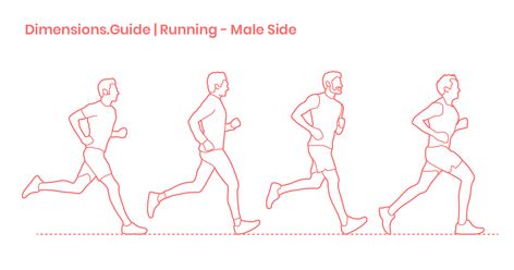 Assortment of men running in side profile with unique strides and running poses. Outlined and detailed silhouette drawings are available. Person Running Side View, Running Side View, Running Poses, Silhouette Drawings, Winter Running Outfit, Running Pose, Person Running, Human Body Drawing, Silhouette Drawing