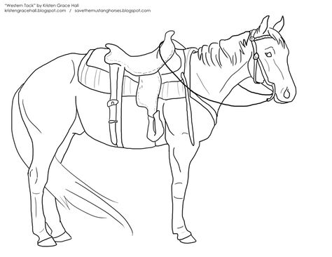 Reining Horses, Here Be Dragons, Barrel Racing Horses, Horse Coloring Pages, Adult Colouring Pages, Horse Silhouette, Dressage Horses, All About Horses, Horse Drawing