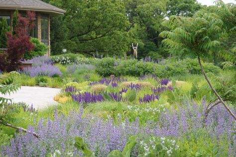 The New Perennial Movement - Greenhouse Product News Salvia Garden, Poured Concrete Patio, Jones Road, Bee Friendly Plants, Perennial Gardens, Piet Oudolf, American Garden, Dream Landscape, Small Front Yard