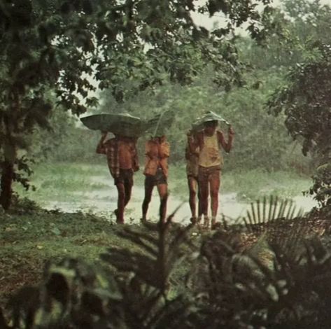 Caught In The Rain, West Java, Summer Feeling, Tarzan, Future Life, In The Rain, Mother Earth, Film Photography, The Rain