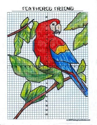 Coordinate Graphing Mystery Picture, Coordinate Graphing Pictures, Plotting Points, Coordinates Art, Coordinate Graphing, Scarlet Macaw, Graph Paper Designs, Paper Art Design, Graph Paper Drawings