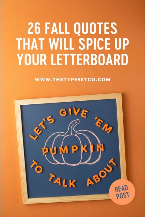 Wait, is that pumpkin-spiced hummus? Well then it must be fall! Take a look at these fresh and fun fall quote ideas for your letter board to celebrate the changing of the seasons. Autumn Letterboard Quotes, Pumpkin Letterboard Quotes, Letter Boards For Fall, Letter Board Quotes For Fall, September Letter Board Ideas, Fall Board Sayings, Cute Fall Quotes Letter Board, Letter Board Fall Sayings, Fun Fall Quotes