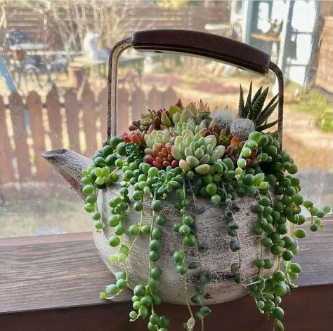 Old Toilet, Lamp Planters, Succulent Planter Diy, Diy Garden Fountains, Succulent Garden Design, Succulent Garden Diy, Succulent Gardening, Garden Containers, Charming Garden