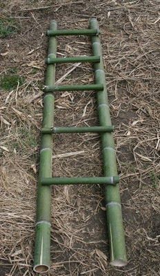 Diy Bamboo Table, Bamboo Projects, Paper Flowers Diy Wedding, Bamboo Furniture Diy, Bamboo Ladder, Bamboo Ladders, Diy Bamboo, Bamboo Diy, Bamboo Building