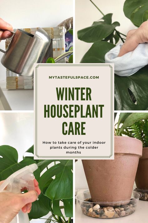 Indoor plants needs during the cold winter months should be different. Learn the essentials to properly care for your houseplants in winter. #houseplants #houseplantcare #gardening #indoorgardening #plantscare #indoorplantscare Safe House Plants, Indoor Plant Care Guide, Low Maintenance Indoor Plants, Healthy Avocado, Avocado Plant, Winter Care, Houseplant Care, Greenhouse Plants, Container Gardening Flowers