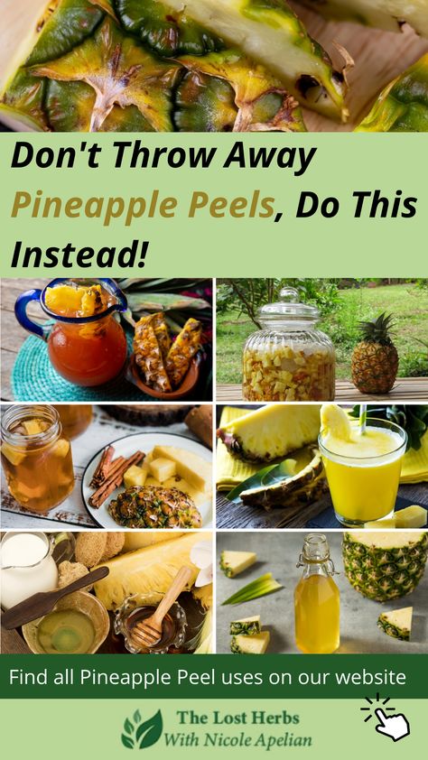 If you throw away pineapple peels, you should read this. The tough and spiky rinds of pineapple are as valuable and nutrient-dense as its pulp. It has a high concentration of bromelain which is an excellent anti-inflammatory. When consumed, it releases bromelain that helps reduce bouts of cold and swollen sinuses, as well as swelling from an injury. Find all Pineapple peel and core uses on our website. How To Use Pineapple Peel, Peel Pineapple How To, Pineapple Peel Tea Recipe, Pineapple Rind Tea Recipe, Pineapple Core Uses, Pineapple Remedies, Pineapple Pulp Recipes, What To Do With Pineapple Scraps, Pineapple Rind Uses