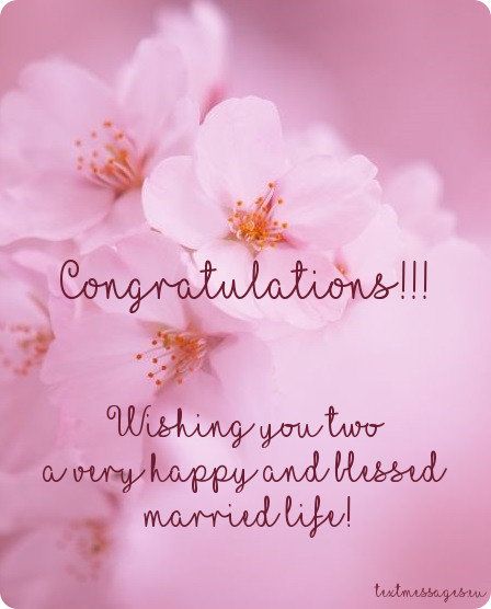 Short Wedding Wishes, Quotes & Messages (With Images) Wedding Congratulations Quotes, Happy Wedding Quotes, Wedding Congratulations Wishes, Happy Wedding Anniversary Message, Wedding Wishes For Friend, Happy Wedding Wishes, Wedding Wishes Messages, Happy Wedding Anniversary Cards, Wedding Wishes Quotes