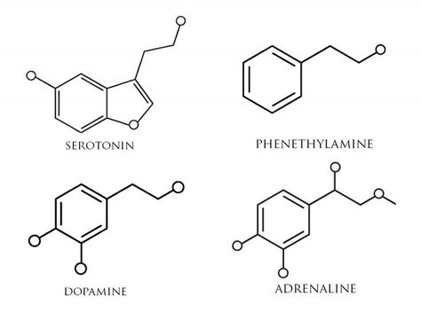 1000+ ideas about Dopamine Tattoo on Pinterest | Serotonin tattoo ... Molecular Structure Tattoo, Molecular Tattoo, Chemical Structure Tattoo, Chemistry Molecules, Dopamine Tattoo, Serotonin Tattoo, Chemistry Tattoo, Molecule Tattoo, White Ink Tattoo