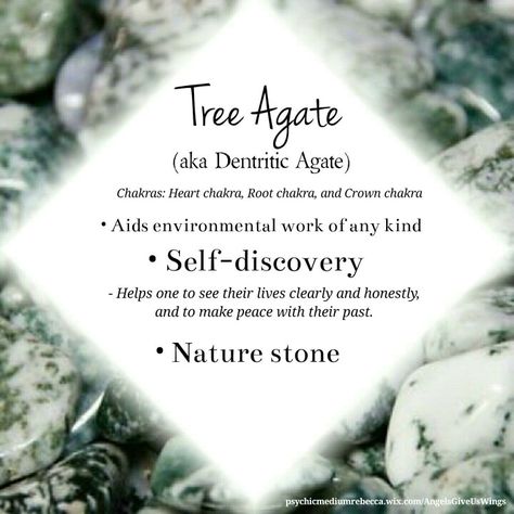 Tree Agate crystal meaning Agate Types Meaning, Crazy Agate Meaning, Montana Agate Meaning, Tree Agate Crystal Meaning, Green Moss Agate Crystal Meaning, Tree Agate, Spiritual Crystals, Meditation Crystals, Gemstone Meanings