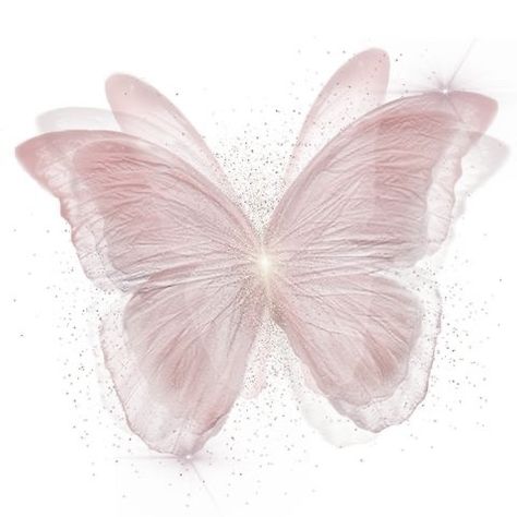 Simplistic Wallpaper, On Wallpaper, Flower Phone Wallpaper, Pink Butterfly, Phone Wallpaper, Butterflies, Iphone, Pink