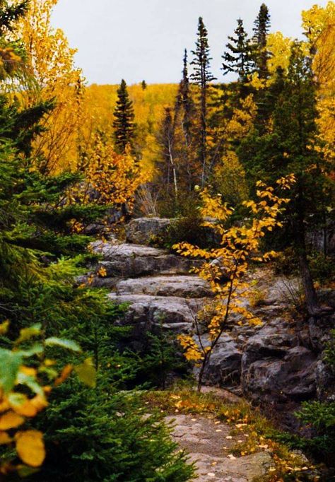 Big rock slab that the upper gorge of the Temperance River is cut into at Temperance River State Park in Schroeder, Minnesota. | Martha Decker | Facebook Big Rock, Minnesota State, Natural Resources, Minnesota, State Parks, Country Roads, Natural Landmarks, Travel