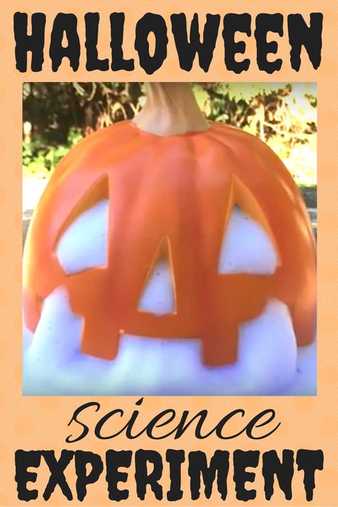 Need a quick and easy science experiment for halloween? This one takes less than 5 minutes and the ingredients are cheap! Jack O Lantern Science Experiment, Apps For Science, Halloween Science, Easy Science Experiments, Science Videos, Student Notebooks, Instructional Strategies, Easy Science, Interactive Notebook