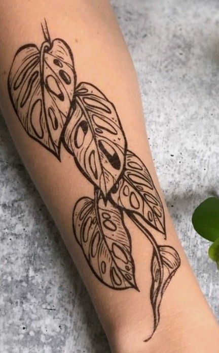 Plant Line Work Tattoo, Monstera Obliqua Tattoo, Jungle Leaves Tattoo Design, Plant Tattoo Sleeve Botanical Prints, Monstera Forearm Tattoo, Houseplant Sleeve Tattoo, Monstera Leg Tattoo, Monstra Tattoo, Monstera Adansonii Tattoo