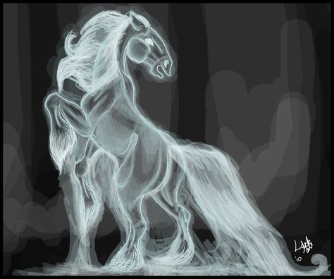 Ghost Horse, Ghost Drawing, High Horse, My Fantasy World, Horse Drawing, Horse Drawings, Halloween Poster, Mythical Creatures Art, Fashion Life