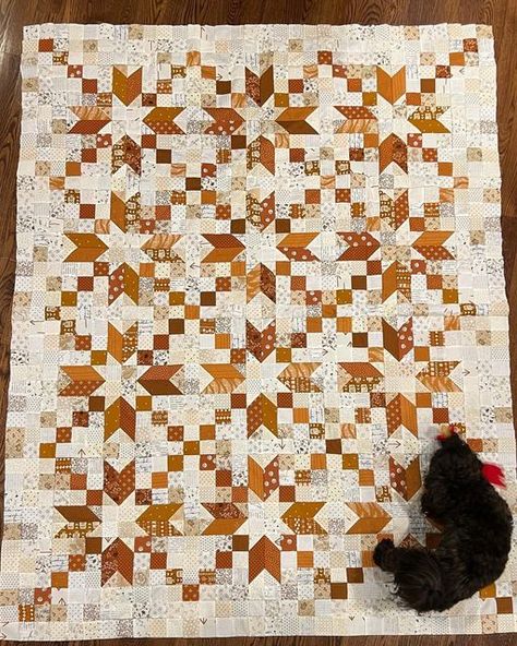 Anne Warman on Instagram: "Gracie and her chicken approve. One top pieced (still needs a good pressing before I drop it off with the quilter) during my two-day getaway and another idea started. Can I get a second top pieced before Thanksgiving? Probably not. But I might try. #fallquilt #twocolorquilt @a.crafty.fox #sonnetquilt #dogsandquilts #quilttop #scrapquilts" Neutral Quilts, Autumn Quilts, Fox Quilt, Low Volume Quilt, Fall Quilt Patterns, Neutral Quilt, Orange Quilt, Two Color Quilts, Crafty Fox