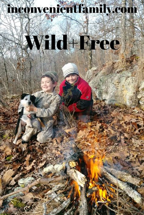 Have you heard of this #homeschool philosophy called #wild+free. #Charlotte mason #nature study #hs reviews Wild + Free Homeschool, Wild And Free Homeschool, Free Charlotte Mason, Wild Wednesday, Kids Training, Call Of The Wild, Free Homeschool, Charlotte Mason, Wild Free