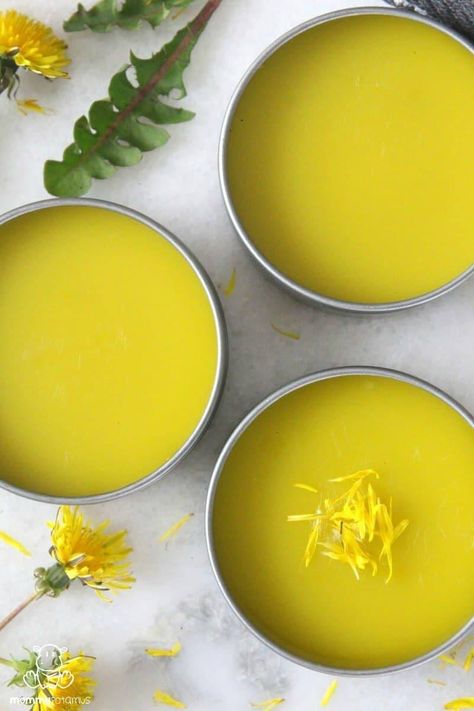 Dandelion Salve Recipe - Rich in anti-inflammatory antioxidants, polyphenols and flavonoids, this dandelion salve works beautifully as an all-purpose healing balm for cuts, scrapes, burns, bug bites, chapped skin and more. Healing Balm Recipe, Dandelion Salve, Balm Recipe, Salve Recipes, Herbal Salves, Healing Salves, Healing Balm, Herbal Recipes, Natural Healing Remedies