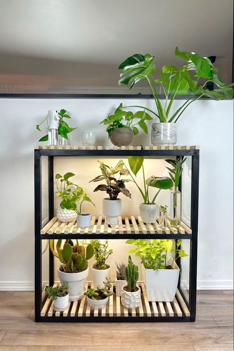 Black Plant shelf with grow lights Indoor Plant Shelves, Handmade Furniture Design, Modern Floating Shelves, Sustainable Interior Design, Geometric Shelves, Round Wood Dining Table, Garden Shelves, Round Wood Coffee Table, Plant Shelf