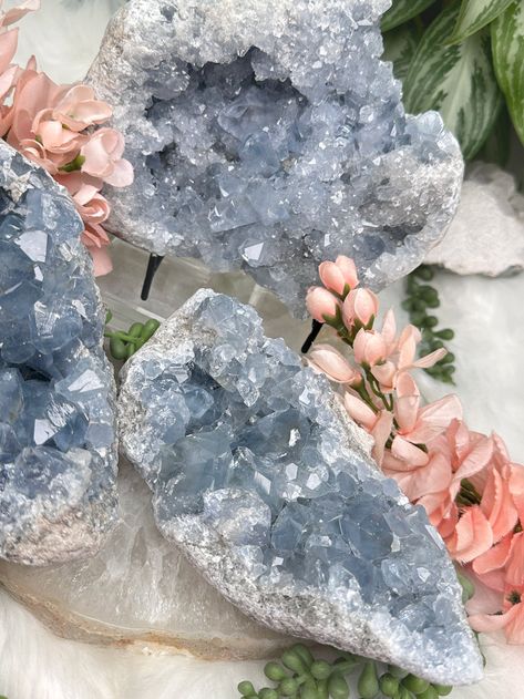 Calming and cute Blue Celestite (celestine) crystal clusters from Madagascar. Baby blue with a nice chunky sparkle to these raw geode style specimens. The two smaller ones have a slightly deeper blue coloring, while the largest is a light blue, but still stunnking. All of these can only lay flat. Stand is not included, but you can find them for sale on this website. I used the size medium in the photo. The crystal of angels. You will receive the exact Blue Celestite cluster you choose! More celestite options available on the website, plus learn more about the celestite meaning on the website! --- Learn about crystal properties on the 'Crystal Quick Facts' page. Orders are packed with love, care, & free gifts. Colors may vary due to the screen. See FAQ for more. Follow @contempocrystals on Precious Stones Chart, Celestine Crystal, Crystal Identification, Magical Objects, Colorful Rocks, Minerals Crystals Stones, Blue Celestite, Crystal Clusters, Magic Stones